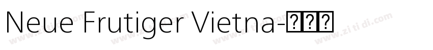 Neue Frutiger Vietna字体转换